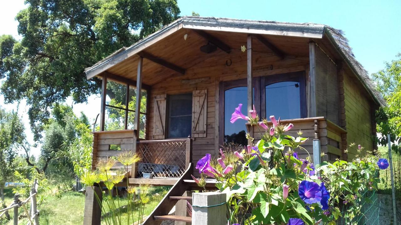 Casa Do Sobreiro 2 Bed & Breakfast Serra das Alhadas Екстериор снимка