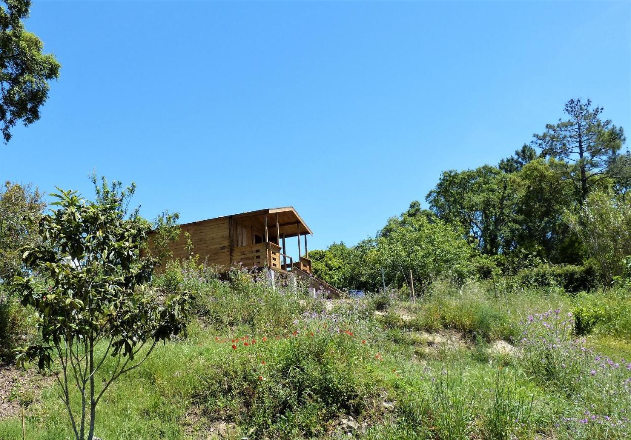 Casa Do Sobreiro 2 Bed & Breakfast Serra das Alhadas Екстериор снимка
