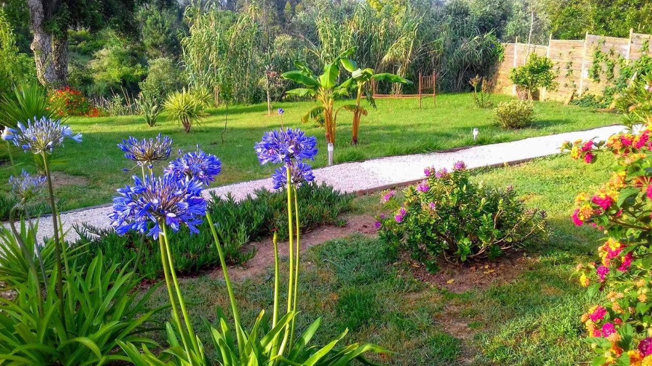 Casa Do Sobreiro 2 Bed & Breakfast Serra das Alhadas Екстериор снимка
