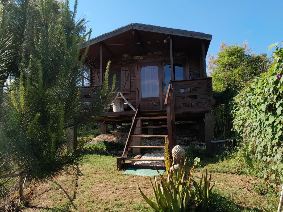 Casa Do Sobreiro 2 Bed & Breakfast Serra das Alhadas Екстериор снимка