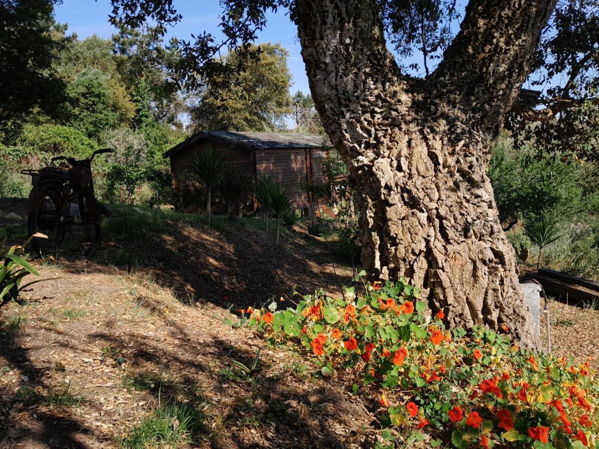 Casa Do Sobreiro 2 Bed & Breakfast Serra das Alhadas Екстериор снимка