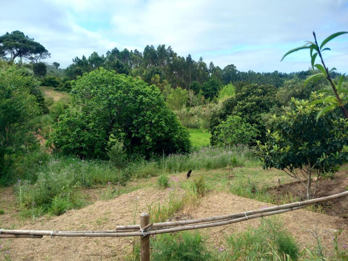 Casa Do Sobreiro 2 Bed & Breakfast Serra das Alhadas Екстериор снимка
