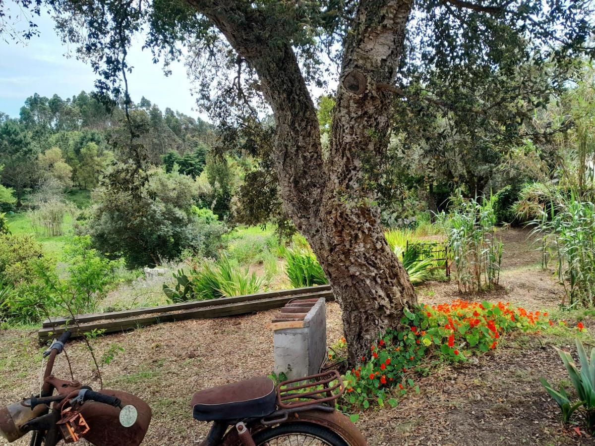 Casa Do Sobreiro 2 Bed & Breakfast Serra das Alhadas Екстериор снимка