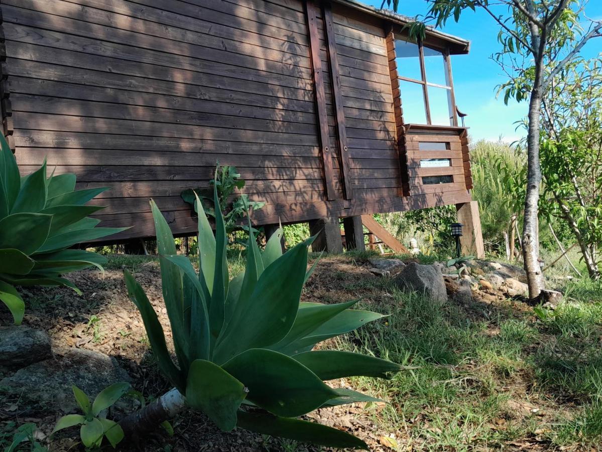 Casa Do Sobreiro 2 Bed & Breakfast Serra das Alhadas Екстериор снимка